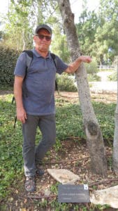 Gerd Bohne an einen Baum gelehnt beim Hain der Gerechten
